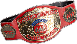 1x Chelsea Green AAA Mixed Tag Championship