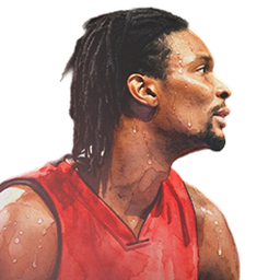 Hometown Hues Chris Bosh