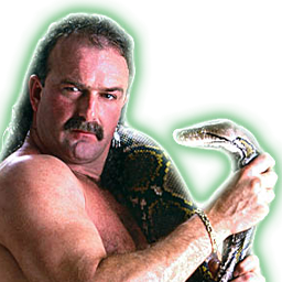 2x Jake 'The Snake' Roberts 