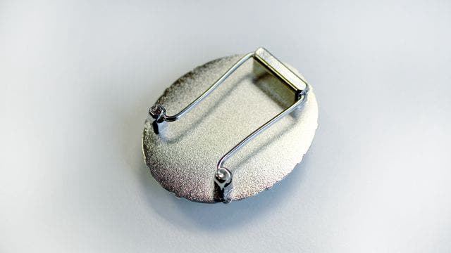 BioShock Infinite Bird Cameo-Product Image 2