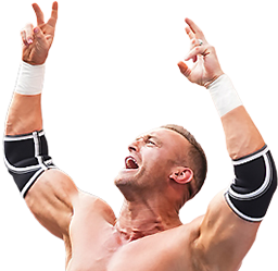 Nick Aldis x1