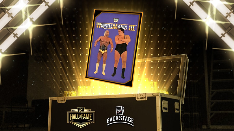 백스테이지 카드 뒷면 팩