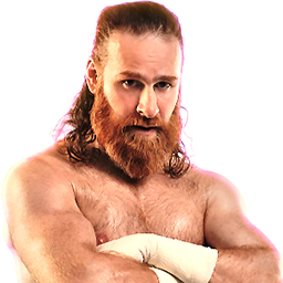 1x Sami Zayn