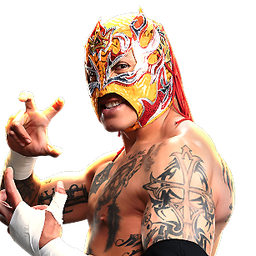 1x Rey Fénix