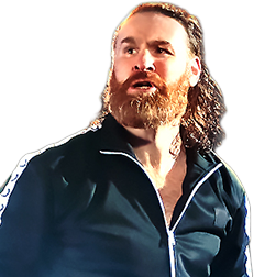 1x Sami Zayn