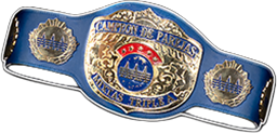 1x Ethan Page AAA Mixed Tag Championship