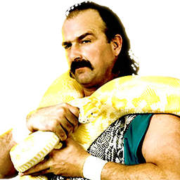 2x Jake 'The Snake' Roberts 