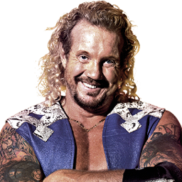 Diamond Dallas Page x1