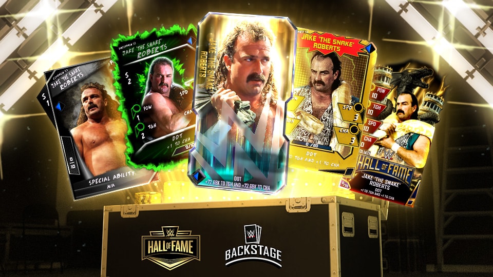 Jake 'The Snake' Roberts 백스테이지 팩