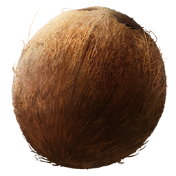 'Rowdy' Roddy Piper Coconut