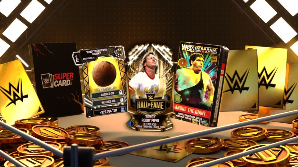 'Rowdy' Roddy Piper Bundle