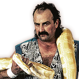2x Jake 'The Snake' Roberts 