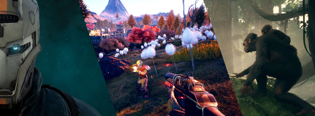 Newsletter Signup Banner