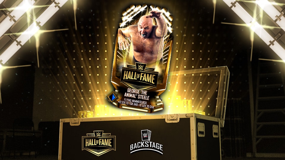 백스테이지 명예의 전당 슈퍼스타 팩