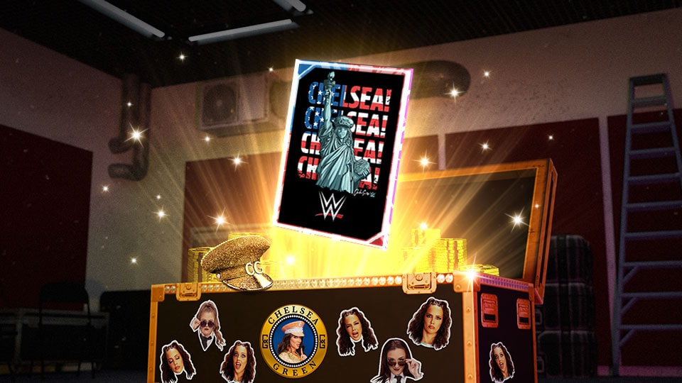 Chelsea Green Backstage Gift Shop Pack