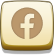 FV2 facebook icon