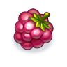 1x Raspberry! (Uncommon)