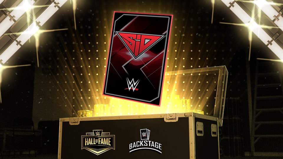 백스테이지 카드 뒷면 팩