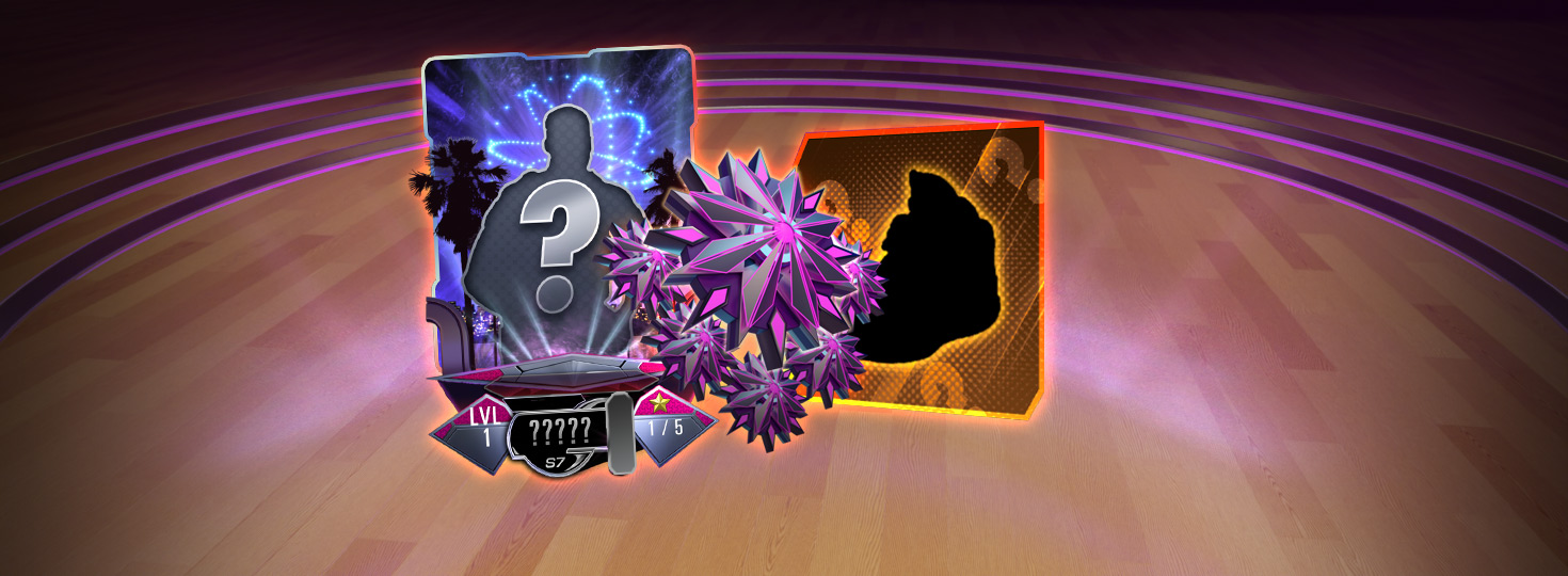 SStopDST Banner Wide
