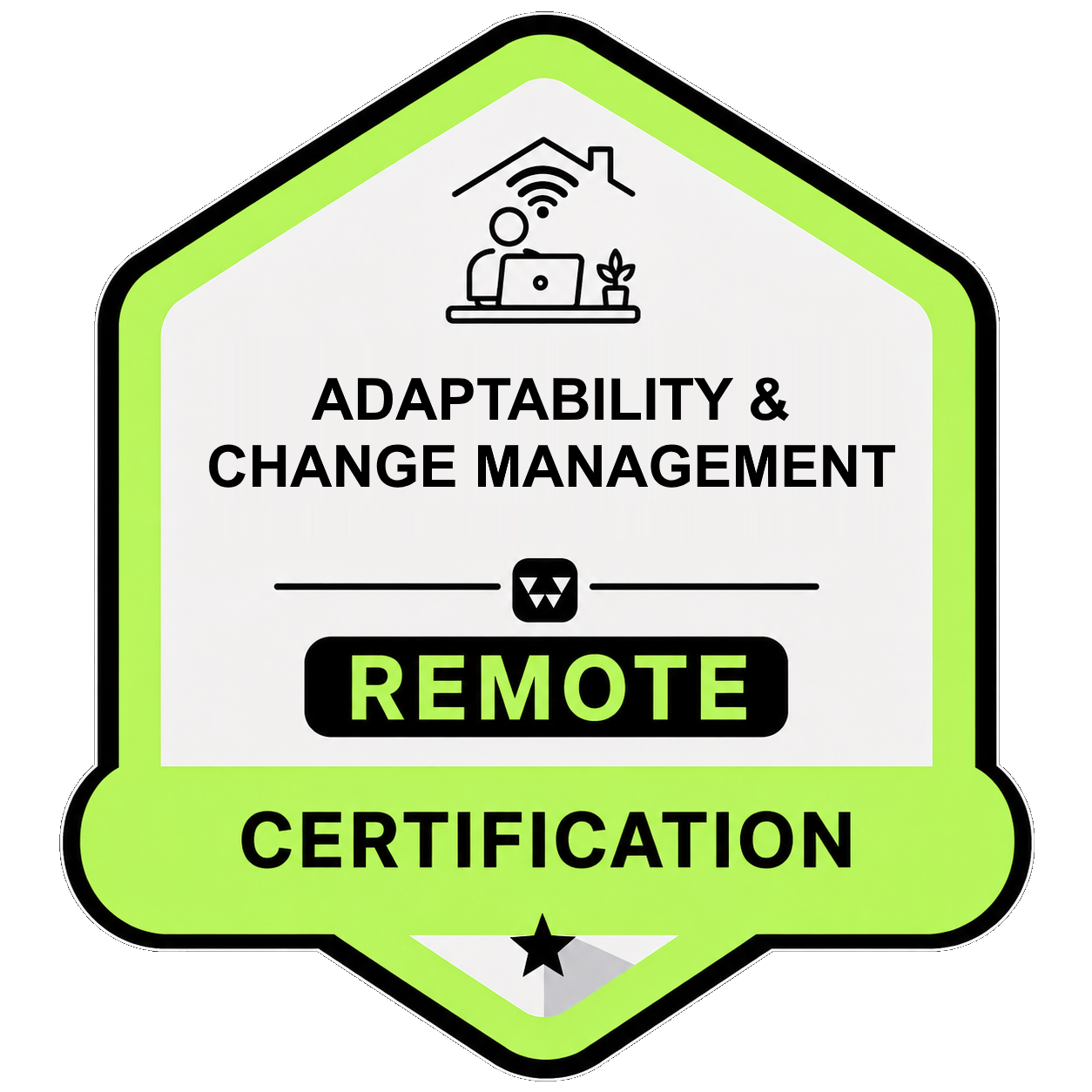 Adaptability & Change Management