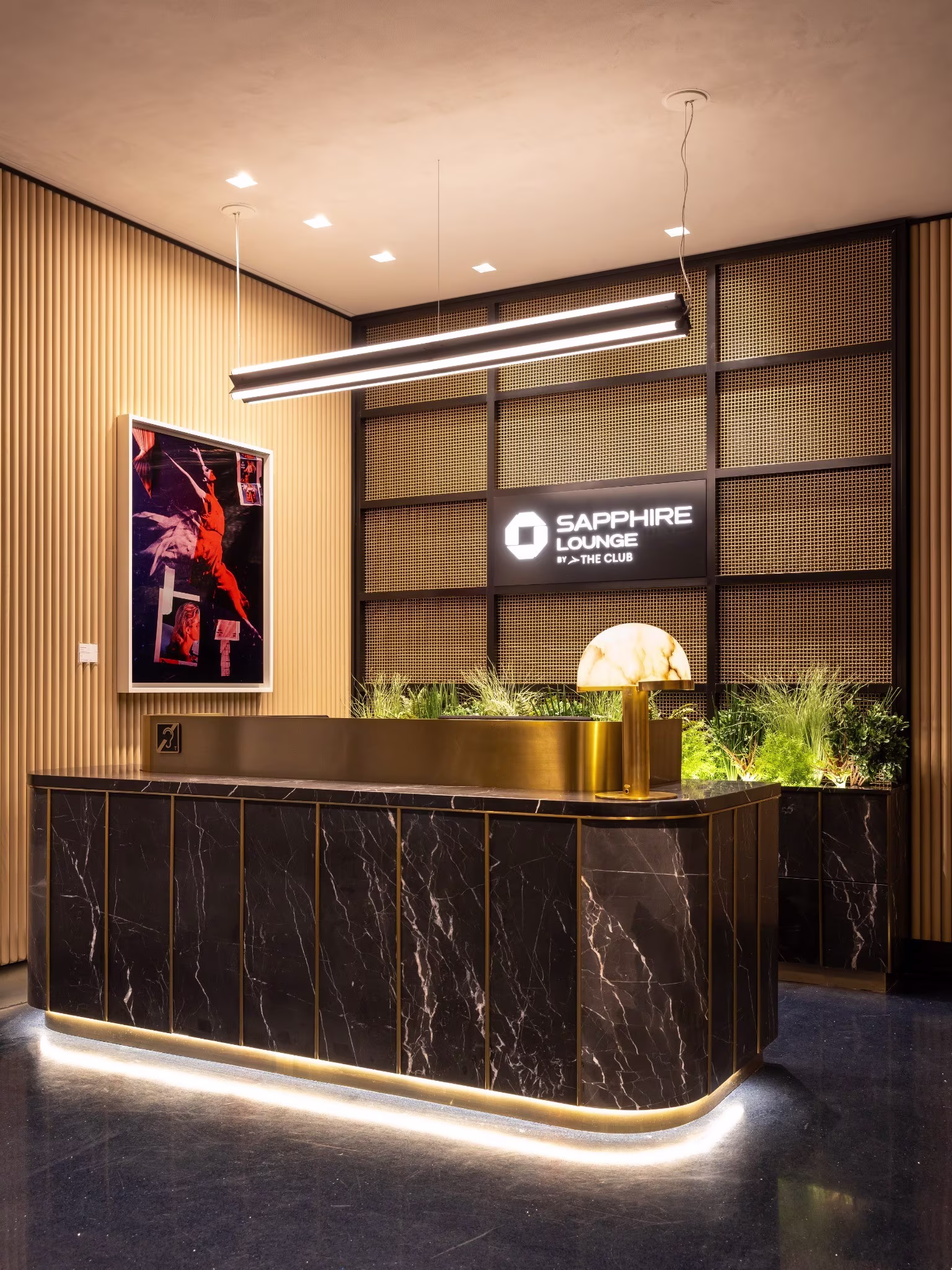 resized SapphireLAS-107