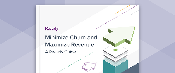 Minimize Churn and Maximize Revenue guide cover