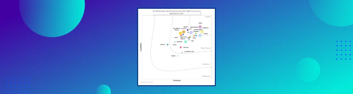 IDC B2C Report ENT 2024