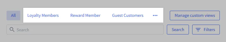 Customer list custom view tabs