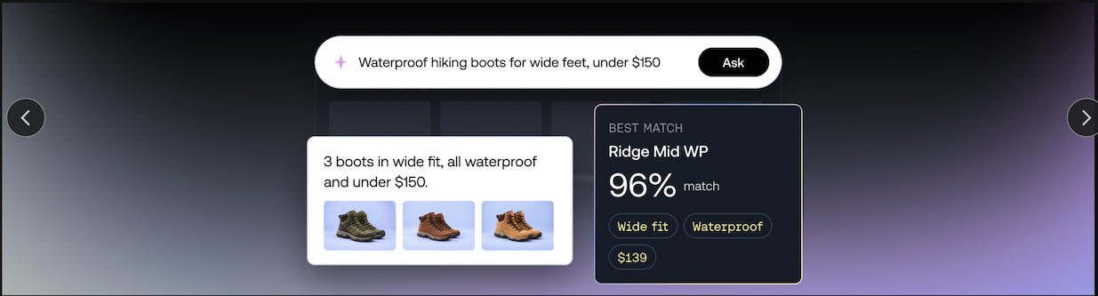 Unfiltered Views on Ecommerce: The Evolution of Product Discovery and Checkout