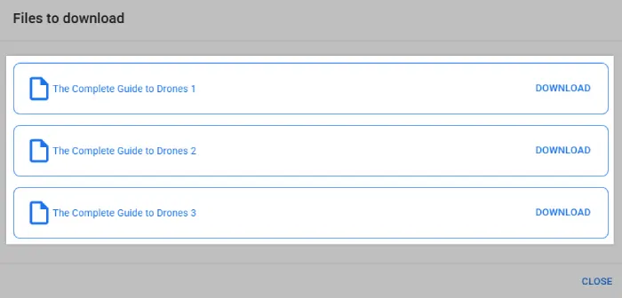 A list of digital files associated with a product in an order.