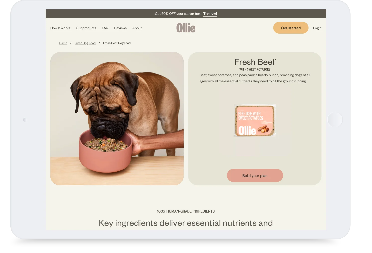 Ollie Pets Case Study