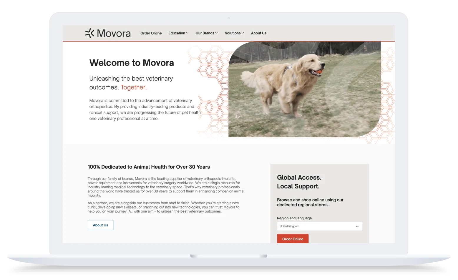 Laptop screen displaying Movora website with a running golden retriever on grass and veterinary service information.