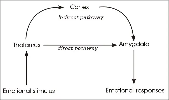 https://cms-wp.bigcommerce.com/wp-content/uploads/2016/07/cortex.jpg