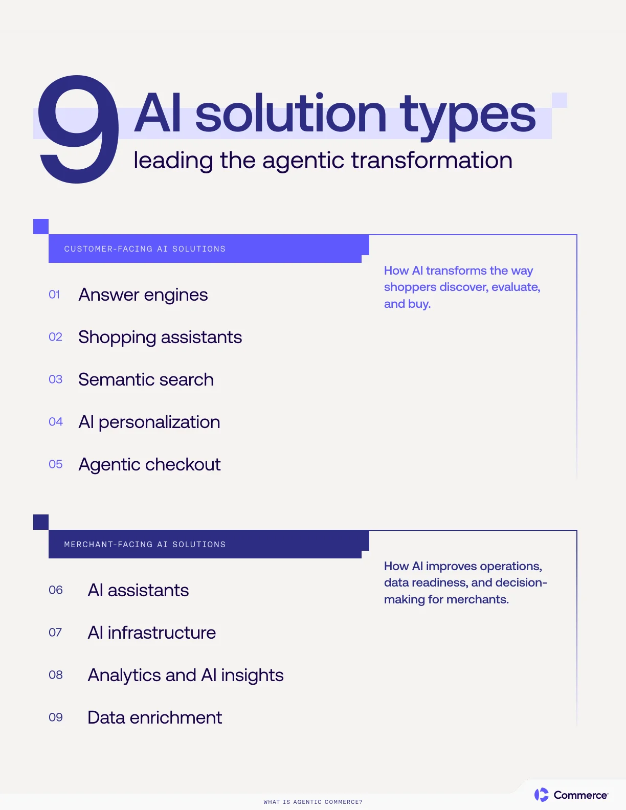 Infographic showing 9 AI solution types divided into customer-facing and merchant-facing categories.