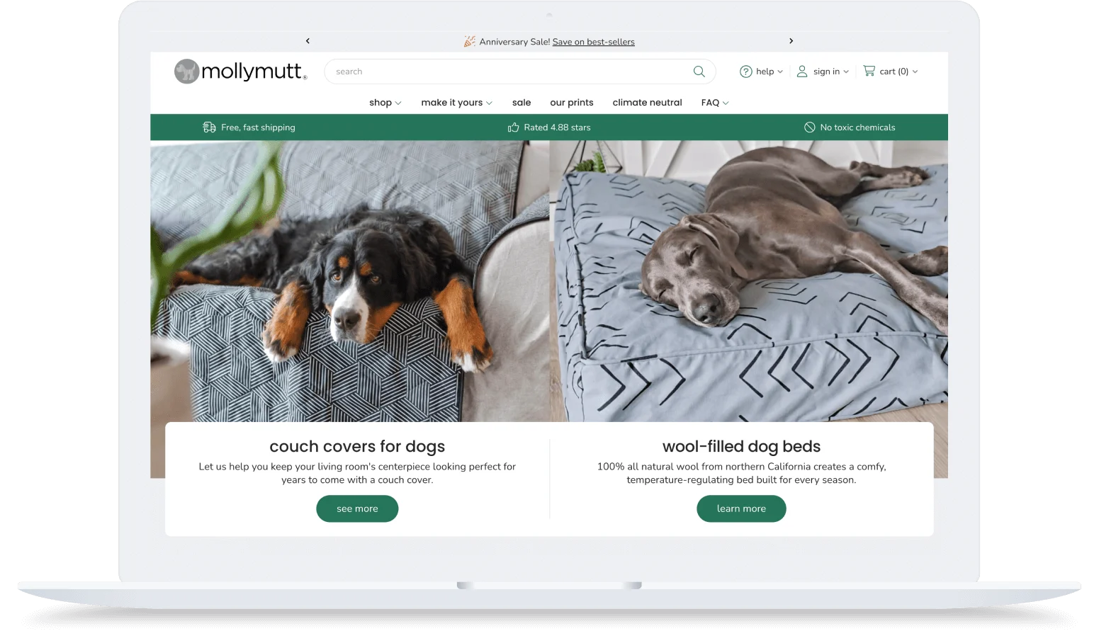 Laptop screen displaying the Molly Mutt website, showcasing a Bernese Mountain Dog on a couch cover and a Weimaraner on a wool-filled dog bed.