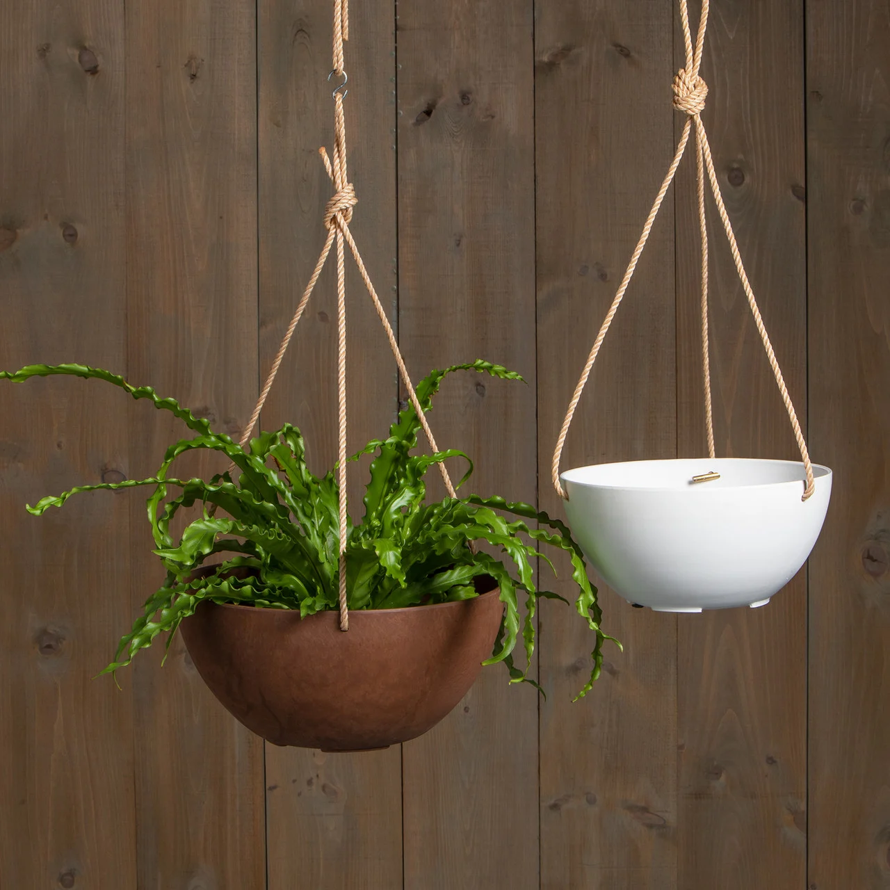 Napa Hanging Bowl Planters from Root & Vessel.