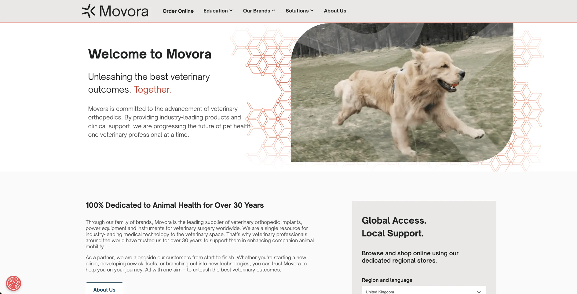 Movora website homepage