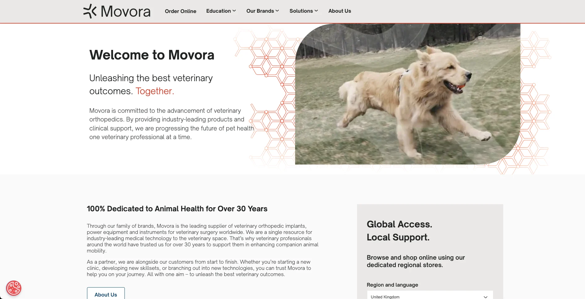Movora website homepage
