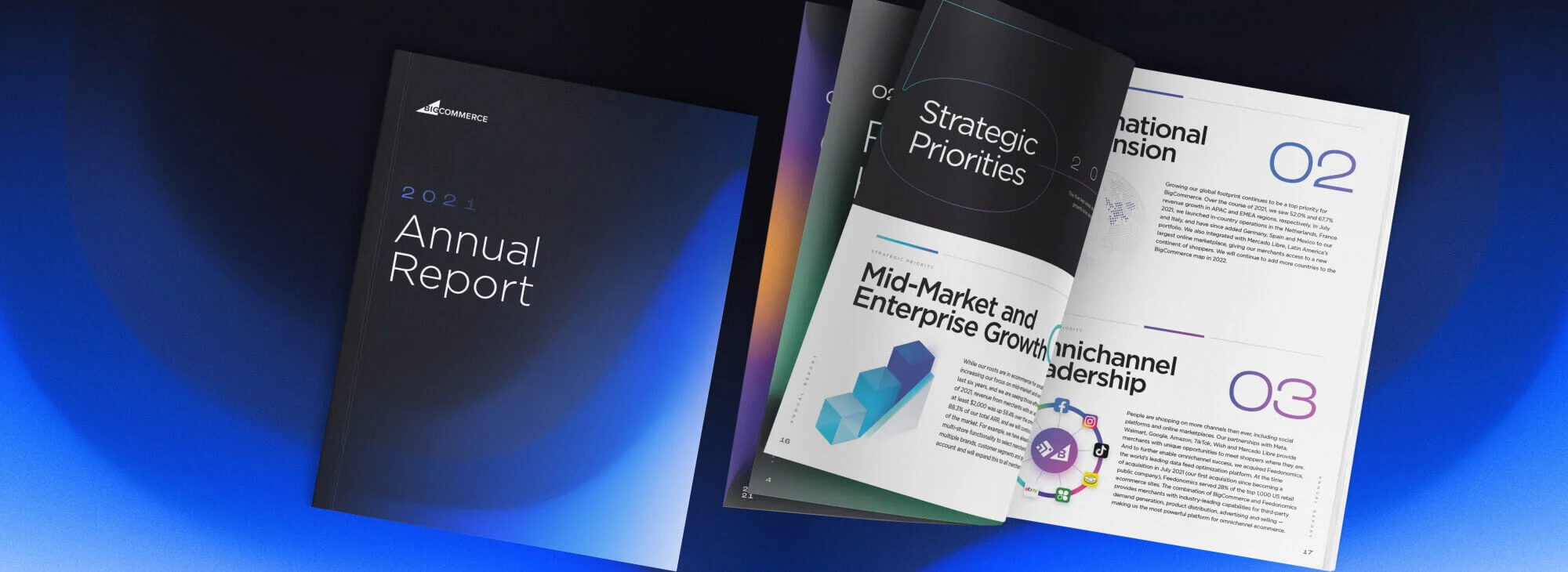 Two annual report booklets on a blue gradient surface, one closed and one open showing charts and headings in bold text.