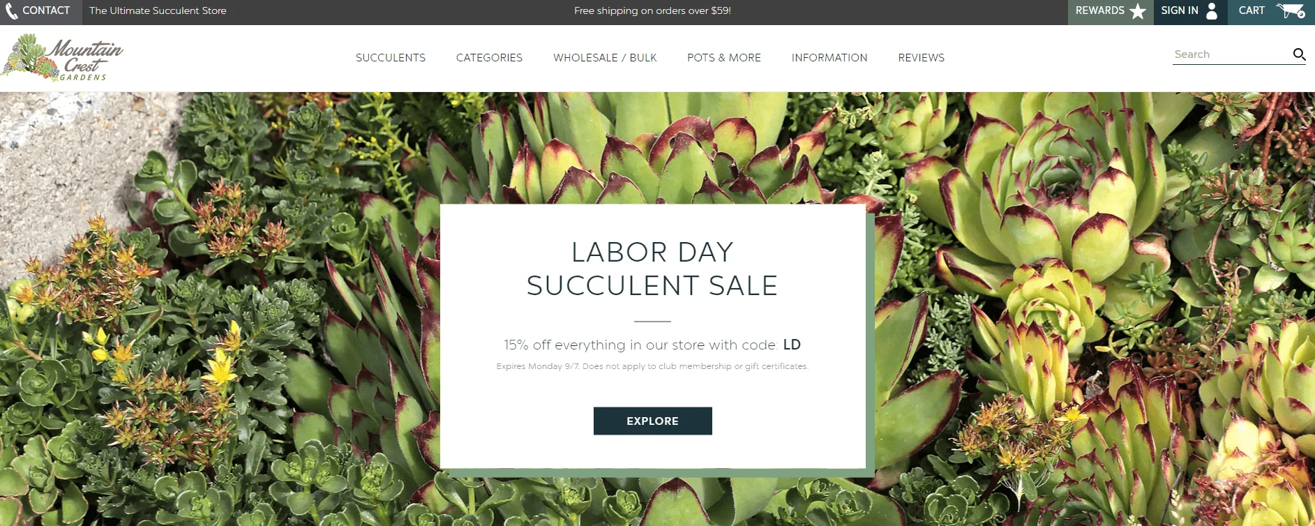 Green and red succulents with yellow flowers, Labor Day Succulent Sale banner offering 15% off, Mountain Crest Gardens.
