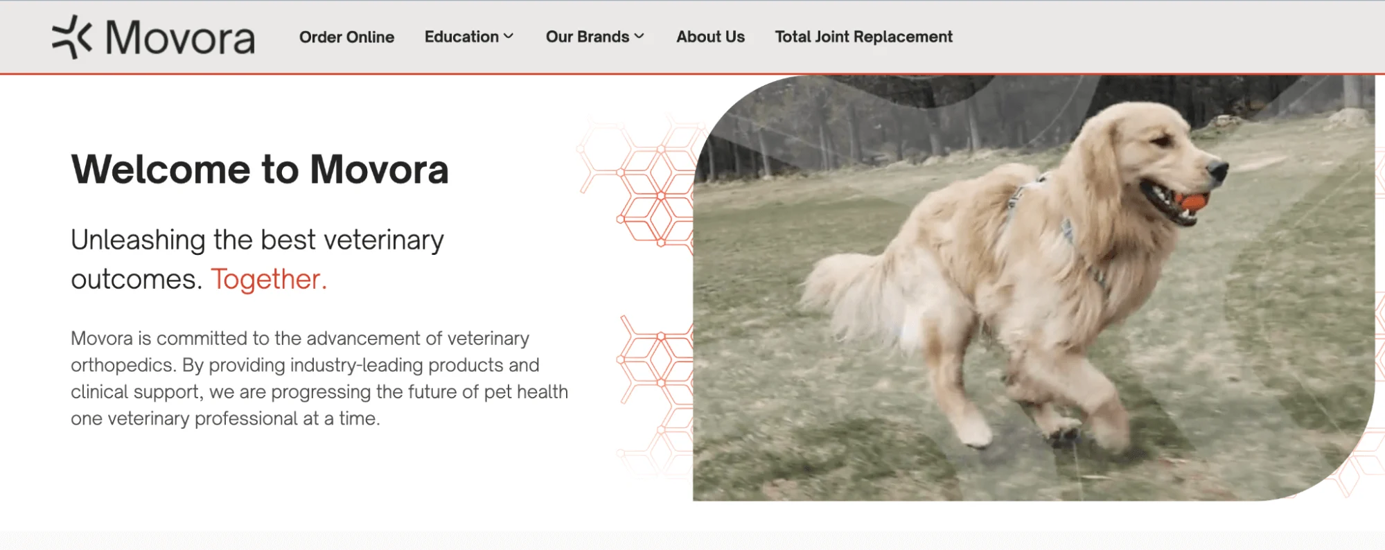 2025 BC customer awards 13