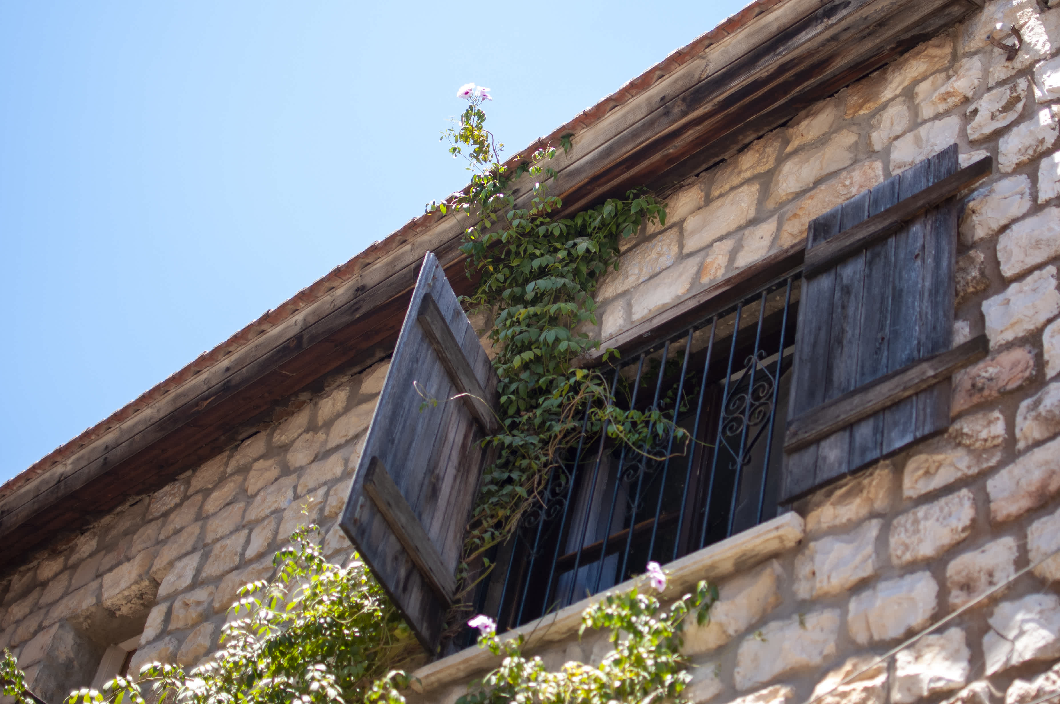 Open wooden shutters with metal bars behind them on an upper floor of a stone building. Plants are growing through the window