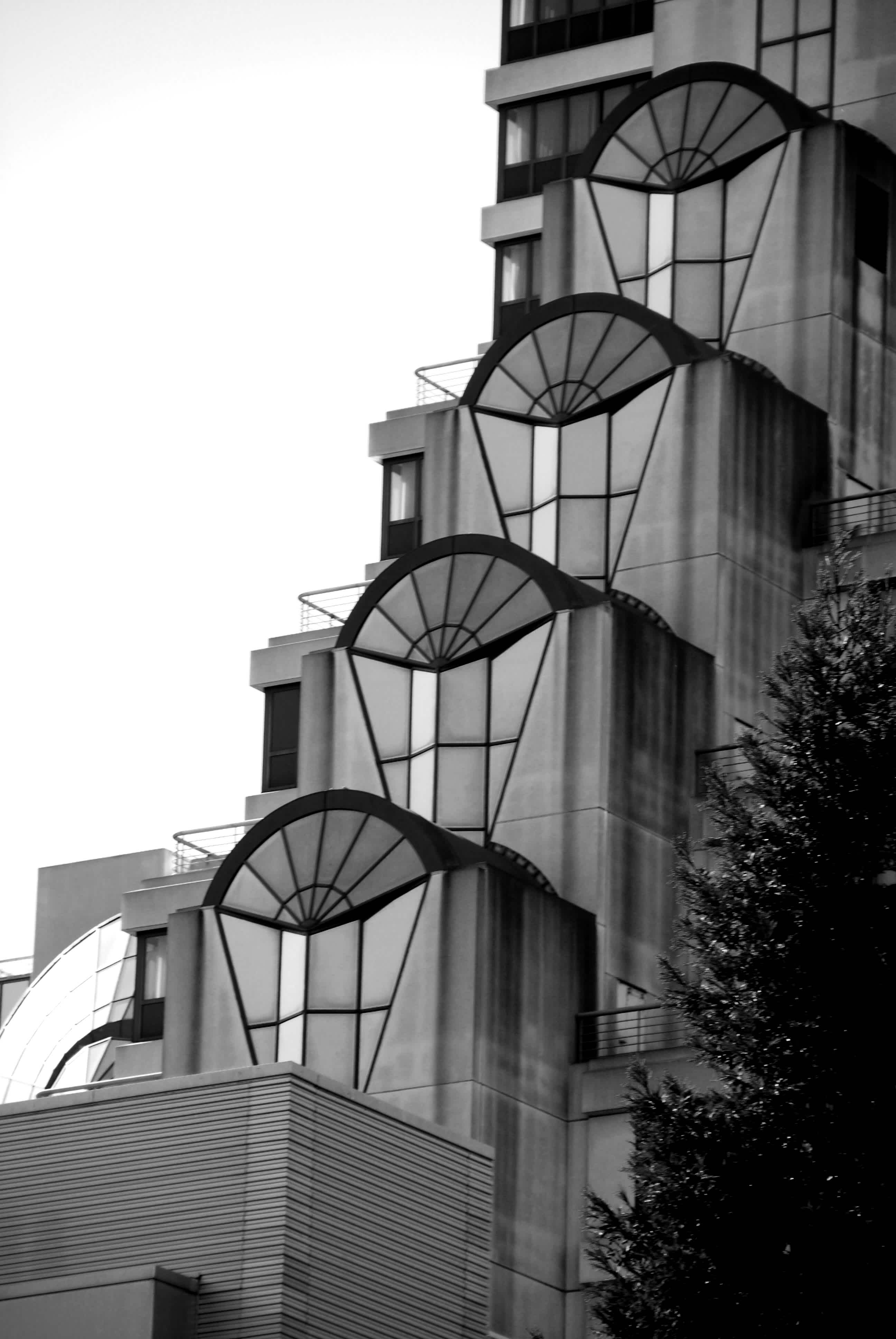 Dome topped buildings that grow taller in black and white in Embarcadero, San Francisco, California.