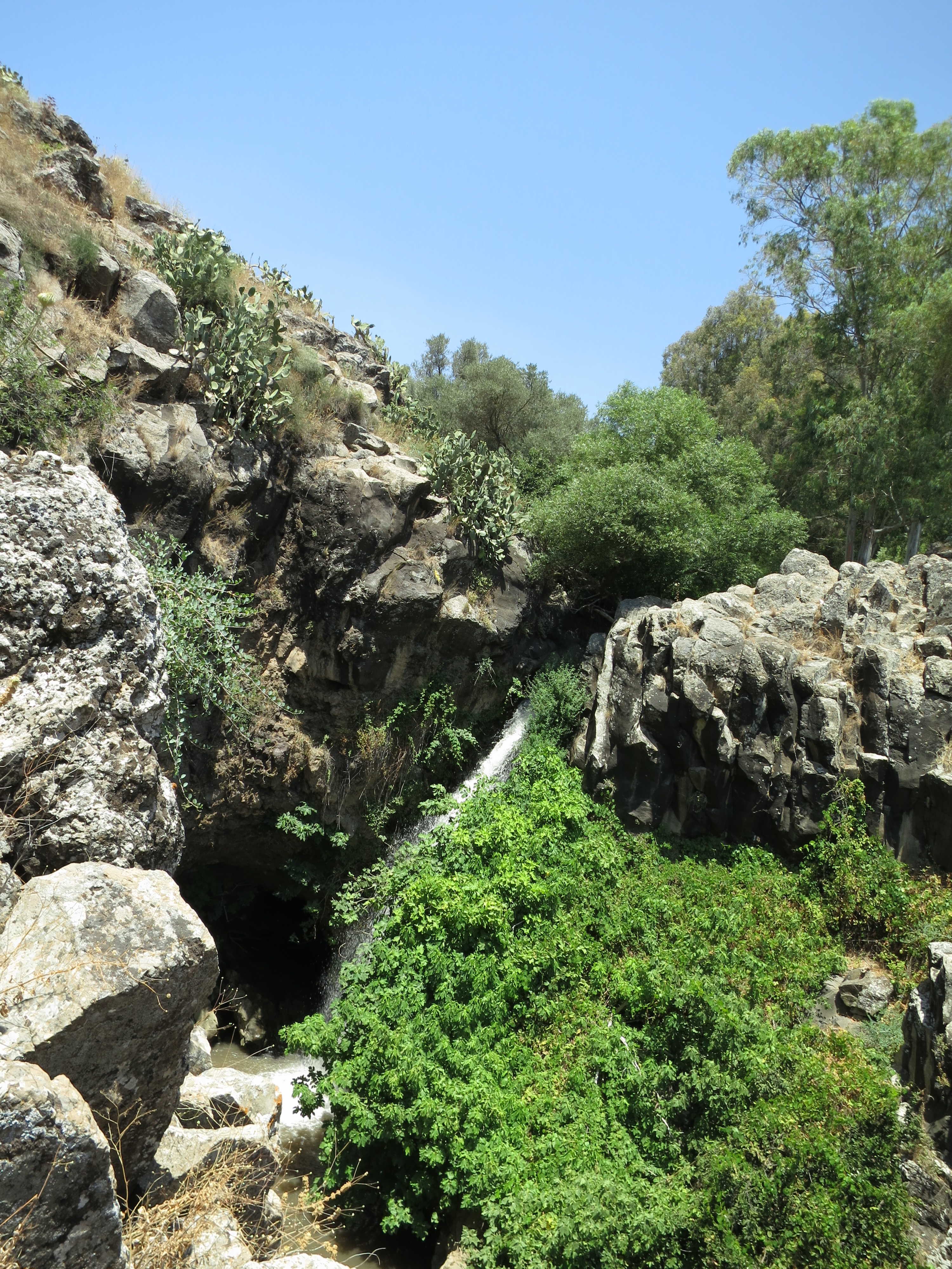 Rocks and plants on the hiking trail by the Jilabun Stream, Golan Heights, Israel. 