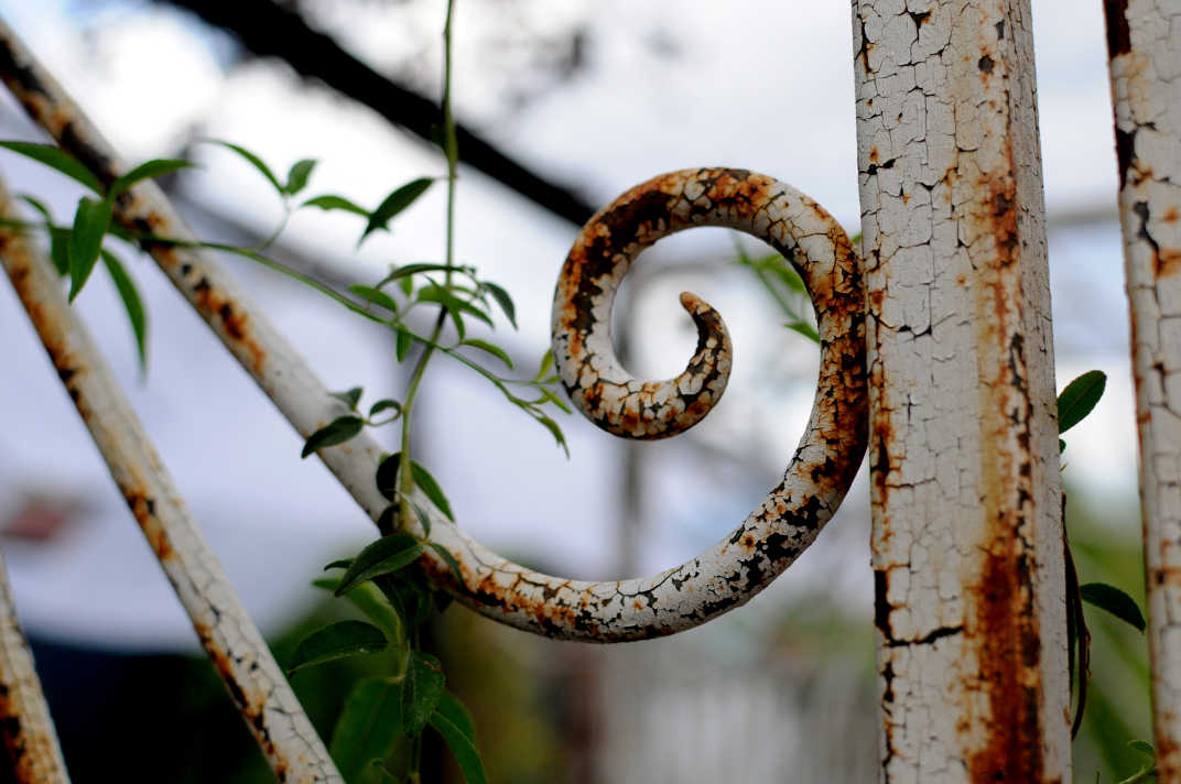 Rusted gate in Banning, California. 