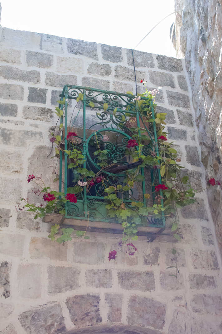 Green decorative bars over a window covered with flowers. An old gun can be seen pointing out of the window