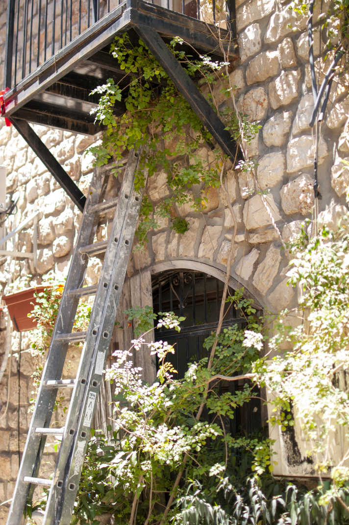 Ladder leaning against a stone building under a small wooden balcony. Plants growing around the ladder.