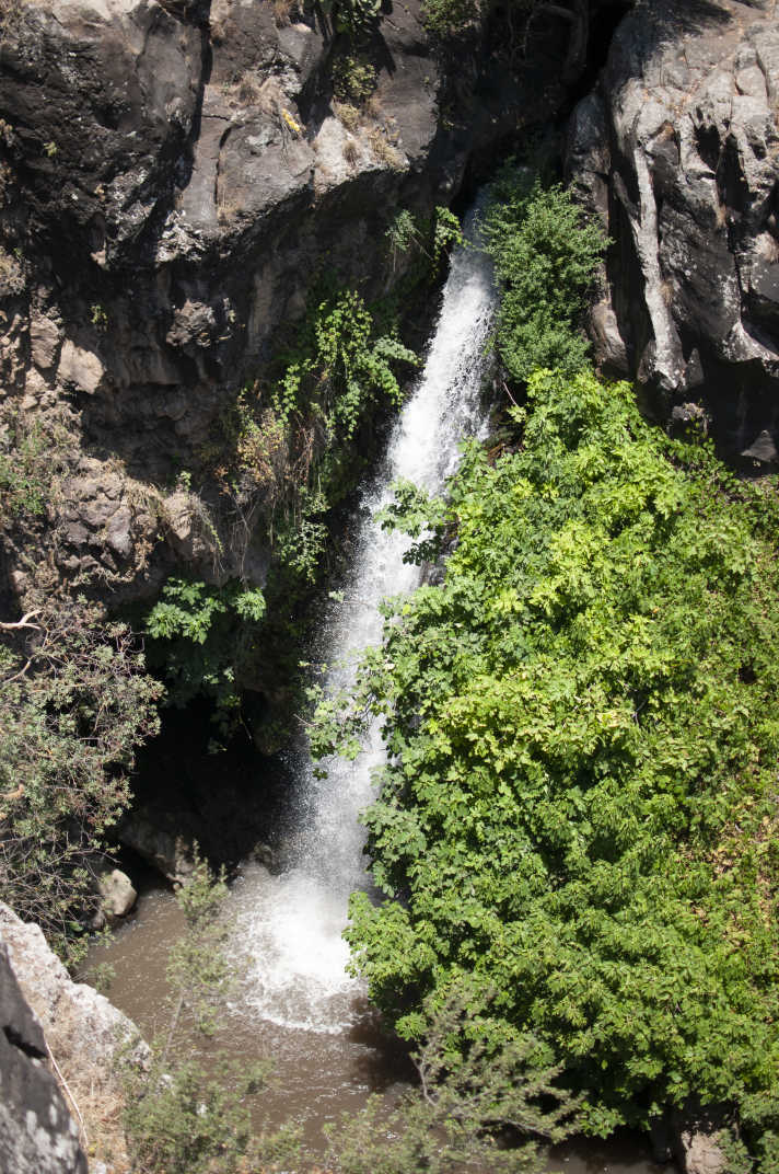 Waterfall partially obscured by plants in Jilabun Stream, Golan Heights, Israel. 