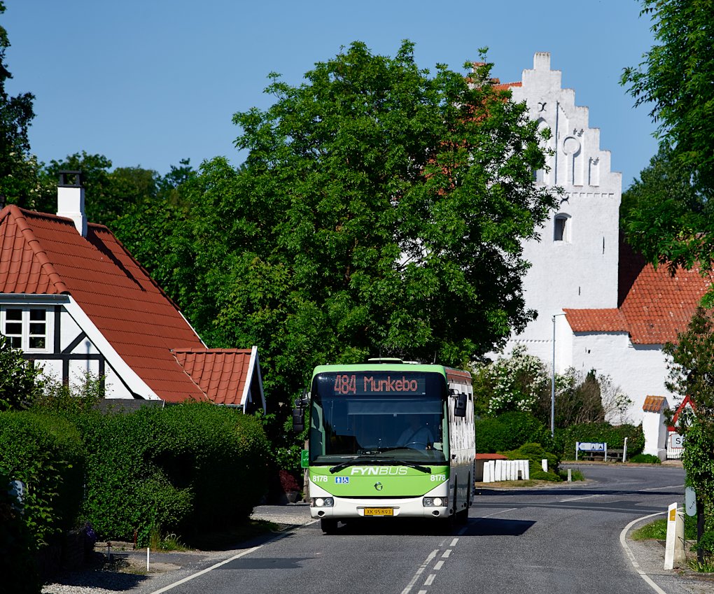 Fynbus
