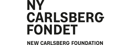 Ny Carlsberg Fondet logo